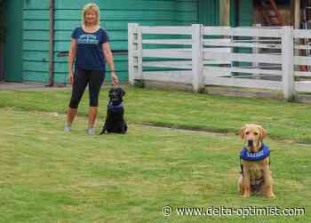 $55000 invested into Delta community groups - Delta Optimist