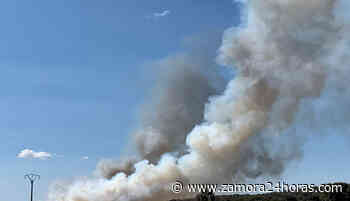 VÍDEO | El fuego sigue sin dar tregua a Zamora: nuevo incendio originado en Marquiz de Alba - Zamora24horas.com