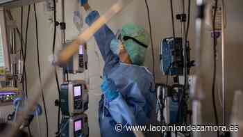 Las muertes por COVID en Zamora siguen disparadas - La Opinión de Zamora