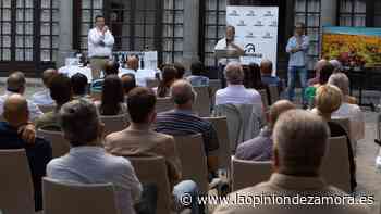 Fermoselle Villa del Vino llama a las puertas de Zamora: “Los vinos os van a gustar” - La Opinión de Zamora