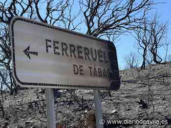 La indignación en Losacio (Zamora) echa chispas - Diario de Ávila