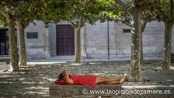 La segunda ola de calor deja en Zamora el triple de muertes que la primera - La Opinión de Zamora