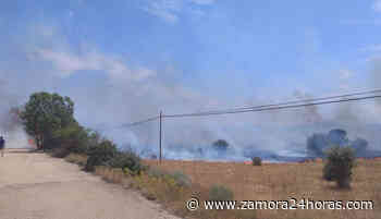 Zamora vuelve a arder: numerosos medios trabajan para apagar un fuego en Rionegro del Puente - Zamora24horas.com