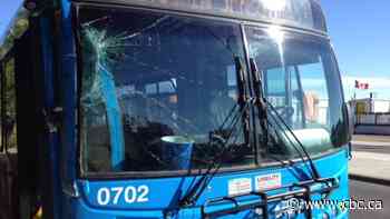 Saskatoon city council greenlights transit safety report