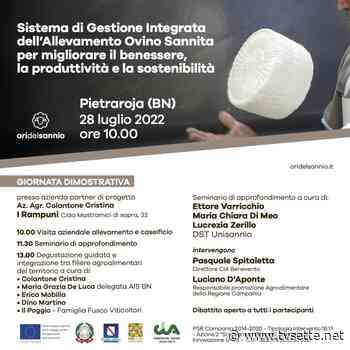 Progetto O.RI. del Sannio, prima giornata dimostrativa a Pietraroja - TV Sette Benevento