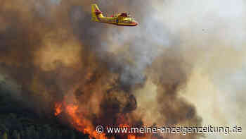 Südfranzösisches Dorf in Küstennähe wegen Waldbrand geräumt: Wind trägt Feuer weiter
