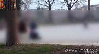 Verona, sgominata violenta baby gang che gravitava in città - ilmattino.it