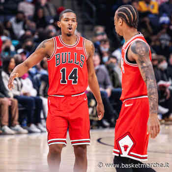 Scaligera Verona, tentativi a vuoto per gli esterni Anthony Brown e Malcolm Hill - Serie A - Basketmarche.it