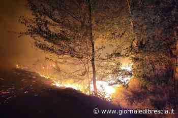Alberi in fiamme a Orzinuovi: incendio al parco Oglio Nord - Giornale di Brescia