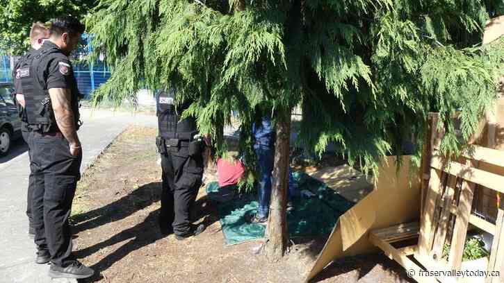 Chilliwack guards want to keep city’s vulnerable safe and hydrated during heat wave