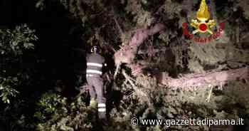 Maltempo: oltre 100 interventi vigili fuoco nel Pordenonese - Gazzetta di Parma