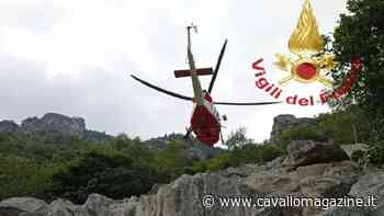 Cuneo: cavalla precipita durante una escursione, salvata da Drago - CavalloMagazine