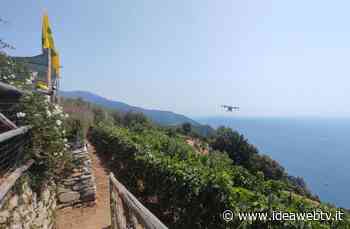 Agricoltura 4.0, Coldiretti Cuneo: al via gemellaggio Langhe – Cinque Terre per svolta green con i droni - IdeaWebTv