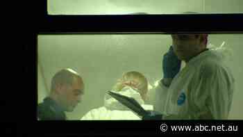 Live: NSW now: Renewed appeal for information over south-west Sydney sisters' deaths