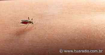 Soledade registra primeiro caso de dengue - tuaradio.com.br