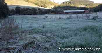 Com temperatura chegando a -4ºC, Soledade amanhece branca de geada - tuaradio.com.br