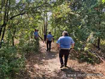 Lotta allo spaccio nelle Groane, dalla Regione 40mila euro per Limbiate, Solaro, Ceriano e Cogliate - Il Notiziario