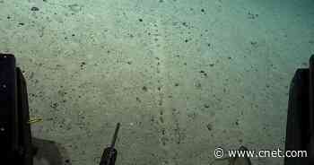 Mysterious Seafloor Holes Stump Ocean Scientists     - CNET