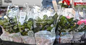 Stad zoekt vrijwilligers voor plantjesverkoop | Herentals | hln.be - Het Laatste Nieuws