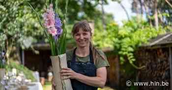 Keramiste Lies Bulteel stelt tentoon | Herentals | hln.be - Het Laatste Nieuws