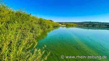 Hitze lässt Blaualgen in Cochem-Zell erblühen: Warnschwelle in Koblenz erreicht - Rhein-Zeitung