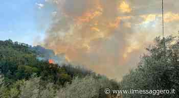 Più di cento ettari in fumo in provincia di Terni e il sospetto del dolo: i carabinieri forestali indagano sug - ilmessaggero.it