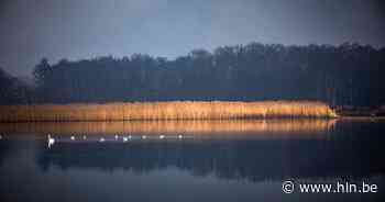 Groen licht voor het hemelwater- en droogteplan van Zonhoven - Het Laatste Nieuws