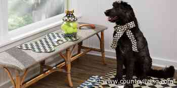 MacKenzie-Childs Barn Sale Is Here With the Best Deals - Country Living