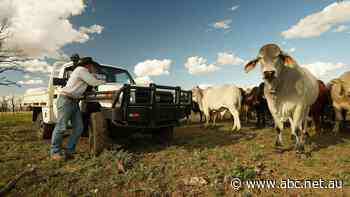 The China trade war may be easing but not everyone wants to kiss and make up