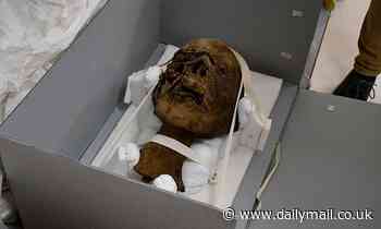 Decapitated head of ancient Egyptian mummy belonged to a woman, CT scan finds