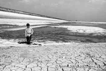 How does this year's hot weather compare with summer 1976? - Barrhead News