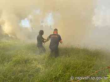 Capivari está há 54 dias seguidos sem chuvas significativas; Não há previsão para os próximos dias - Prefeitura de Capivari (.gov)