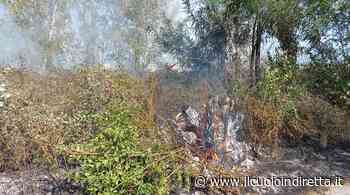Fascia parafuoco obbligatoria e fuochi d'artificio vietati: stretta di Fucecchio contro gli incendi - IlCuoioInDiretta - IlCuoioInDiretta