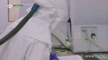 Apenpokken doen hun intrede in Limburg: ziekte verspreidt zich razendsnel - TV Limburg