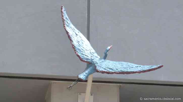 Spirit Wings: 7-Piece Art Sculpture Debuts Along K Street In Sacramento