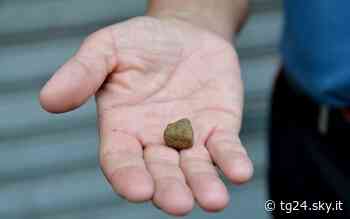 Catania, consegna droga a domicilio: arrestato pusher - Sky Tg24