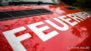 Feuerwehr Herdecke und Tierärztin retten Hund aus Not - WP News