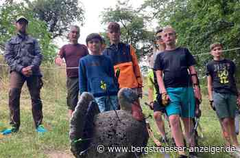 Mit Pfeil und Bogen durch die Natur - Heppenheim - Nachrichten und Informationen - Bergsträßer Anzeiger