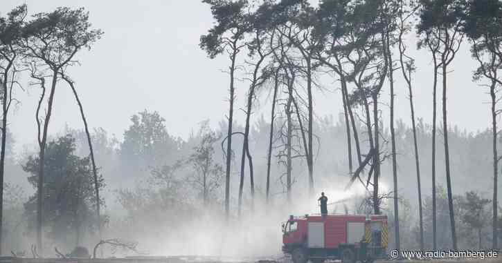 Lage in deutschen Waldbrandgebieten weiter kritisch