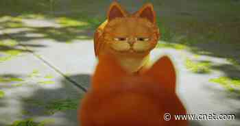 Stray Mod Lets You Play as Garfield, the Lasagna-Loving Cat     - CNET