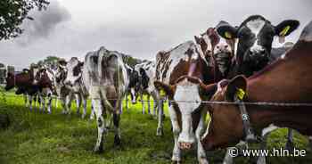 Meulebeke stelt voorwaarden in advies rond stikstofakkoord - Het Laatste Nieuws