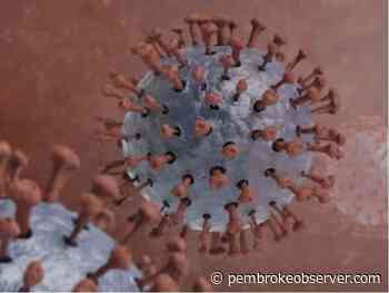 Renfrew County and District Health Unit notes increase in local COVID-19 activity - Pembroke Observer and News