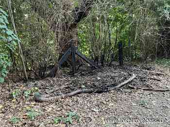 Erneutes Brandereignis auf dem Karnaper Friedhof - Essen-Nord - www.lokalkompass.de