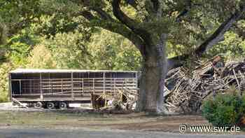 Nach Brand in Gammertingen: Anwohner sollen kein Gartengemüse essen - SWR Aktuell
