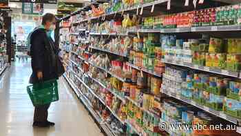 'Devastating' inflation hits fresh 21-year high, but there are signs it is nearing its peak