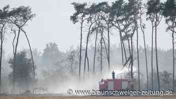 Waldbrände in Deutschland noch nicht unter Kontrolle