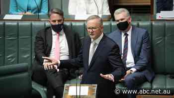 Albanese faces first Question Time as PM after inflation hits new high — as it happened