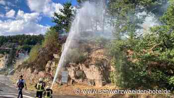 Brand in Lauterbach - Einsatz läuft – Waldstück brennt in Nähe von Tankstelle - Schwarzwälder Bote