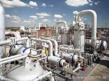 BASF stärkt Position als führender Partner und Hersteller von Inhaltsstoffen für die Nahrungsmittel-, Riech- und Geschmackstoffindustrie