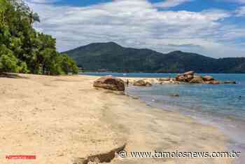 Praia da Mococa em Caraguatatuba - Tamoios News